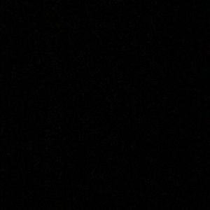 Meet your Posher, Brady